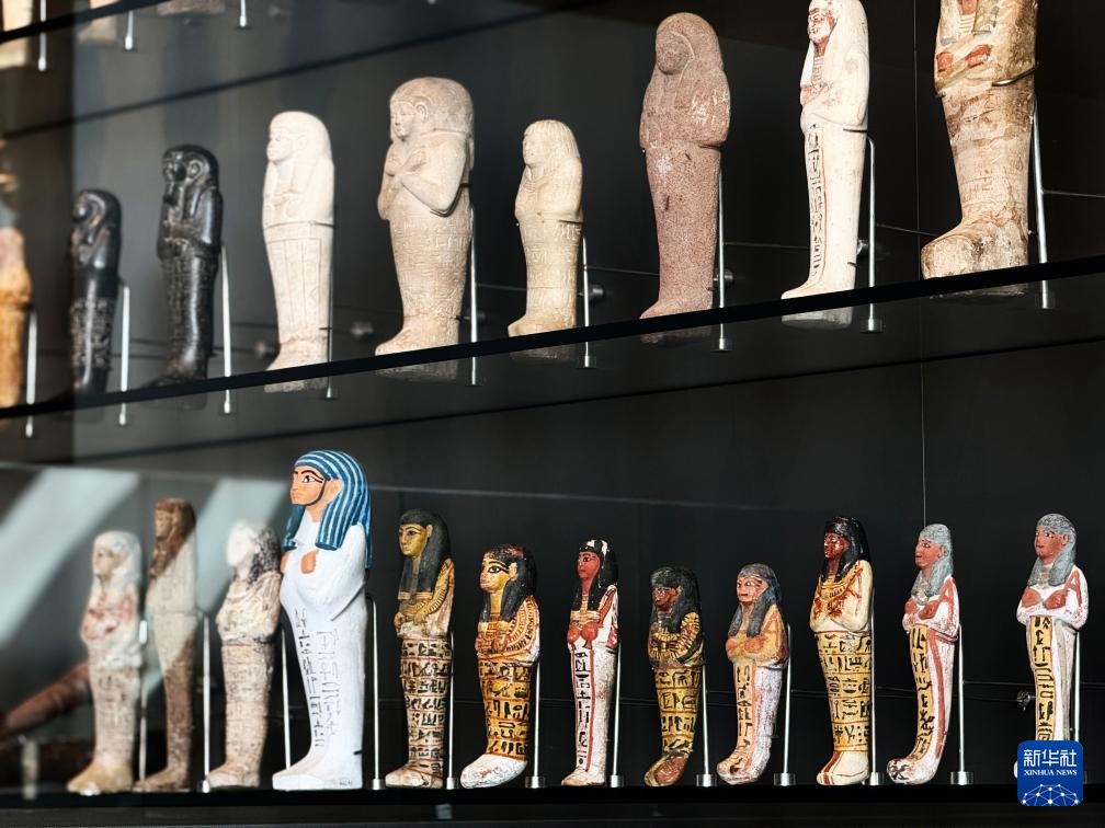 ????? ??????: ?????? ?????? ?????? ???? ??????? ???????? ?? 12 ???? ??? ??????