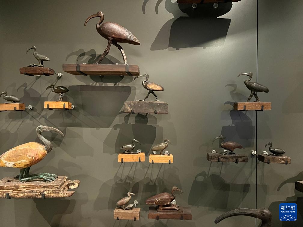 ????? ??????: ?????? ?????? ?????? ???? ??????? ???????? ?? 12 ???? ??? ??????