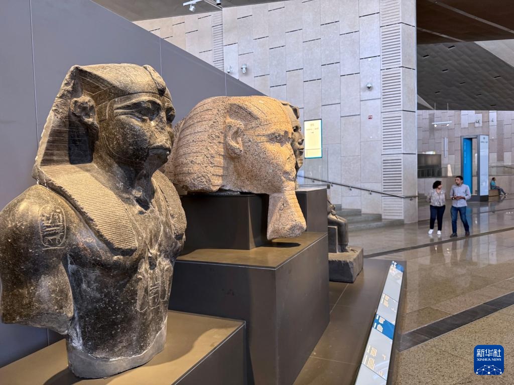 ????? ??????: ?????? ?????? ?????? ???? ??????? ???????? ?? 12 ???? ??? ??????