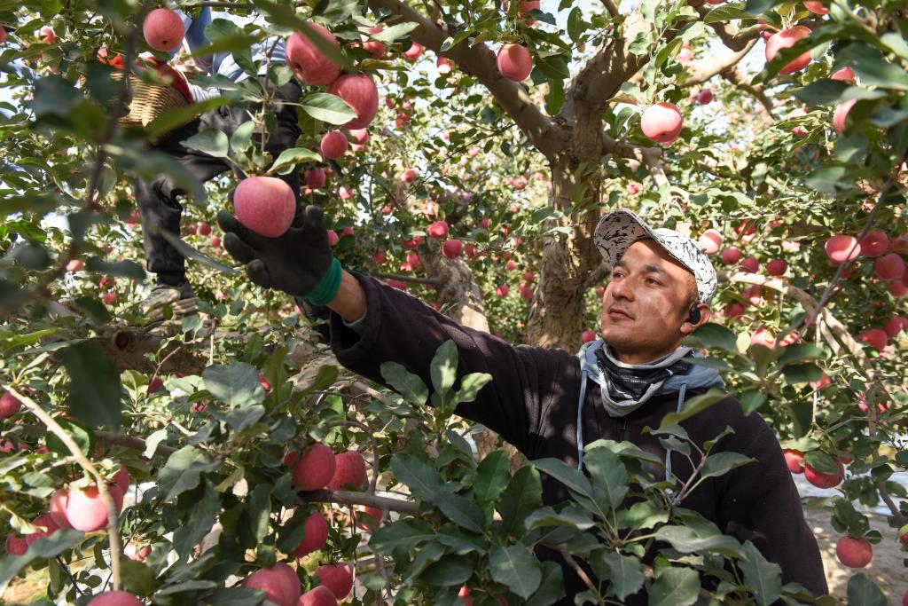 ??????: ???? ???? ?????? ?? ???? ????? ???? ?????