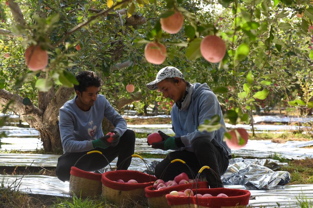 ??????: ???? ???? ?????? ?? ???? ????? ???? ?????