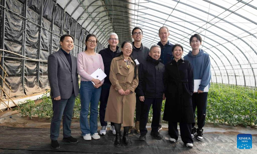 ?????? ???????? ????? 