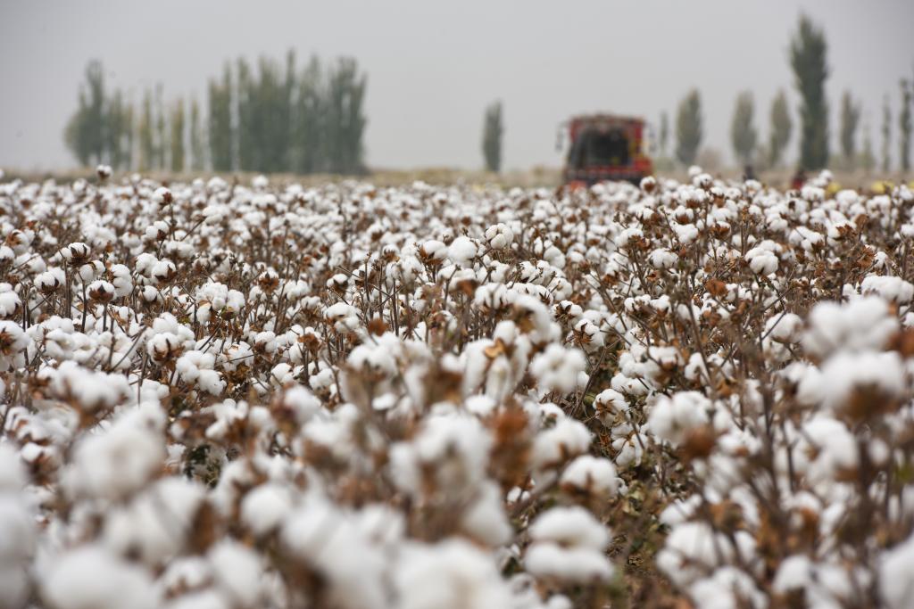 ??????: ??? ????? ?? ???? ???? ?????