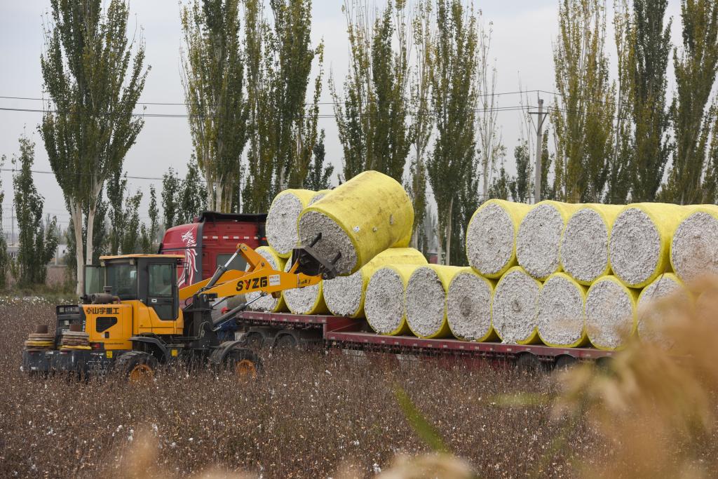 ??????: ??? ????? ?? ???? ???? ?????