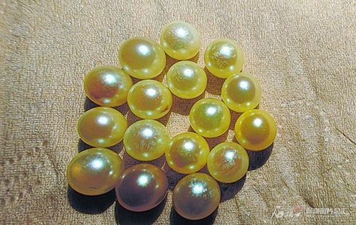 ?? ????????: ???? ???? ??? ???????