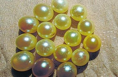 ?? ????????: ???? ???? ??? ???????