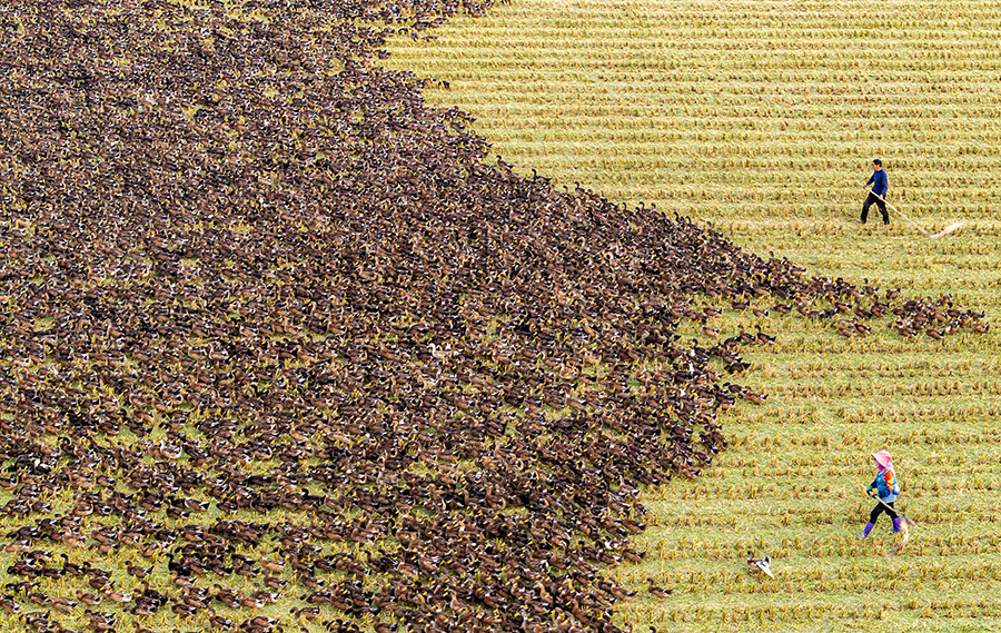 ?? ?????? ???????? ????? ???? ???? ?????? ????? ?? ????? ???????