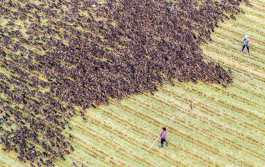 ?? ?????? ???????? ????? ???? ???? ?????? ????? ?? ????? ???????