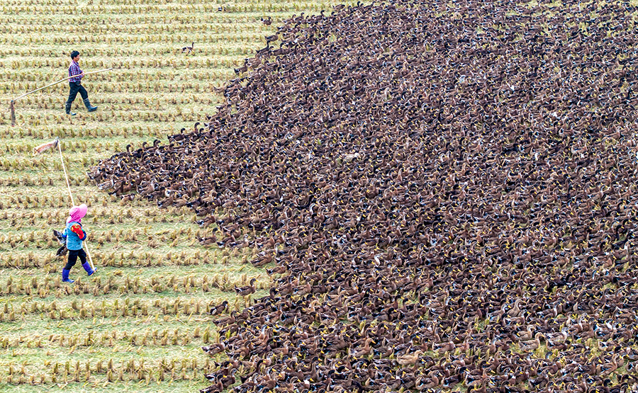 ?? ?????? ???????? ????? ???? ???? ?????? ????? ?? ????? ???????