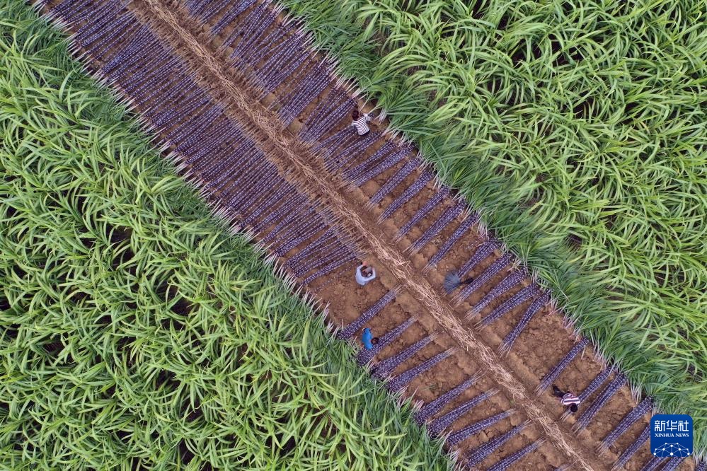 ??????? ???????: ????? ??? ????? ???? ????? ??????