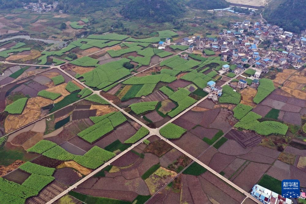 ??????? ???????: ????? ??? ????? ???? ????? ??????