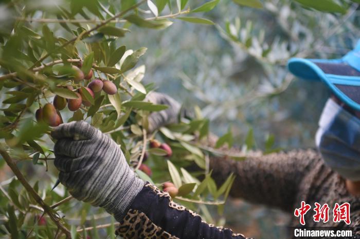 ????? ??????? ?? ??????? ??????? ???? ????? ?? ??????? ??? 60 ???