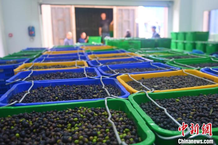 ????? ??????? ?? ??????? ??????? ???? ????? ?? ??????? ??? 60 ???