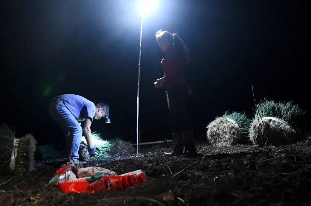 ???? ????? ?????? ?? ????? ??????? ???????