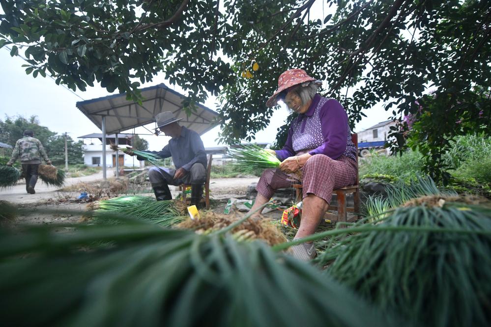 ???? ????? ?????? ?? ????? ??????? ???????