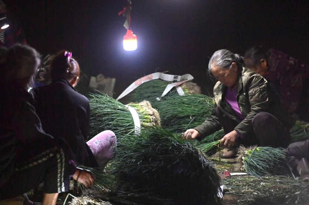 ???? ????? ?????? ?? ????? ??????? ???????