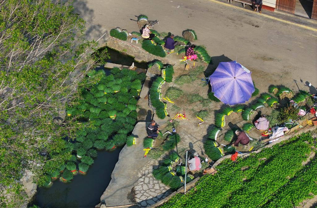 ???? ????? ?????? ?? ????? ??????? ???????