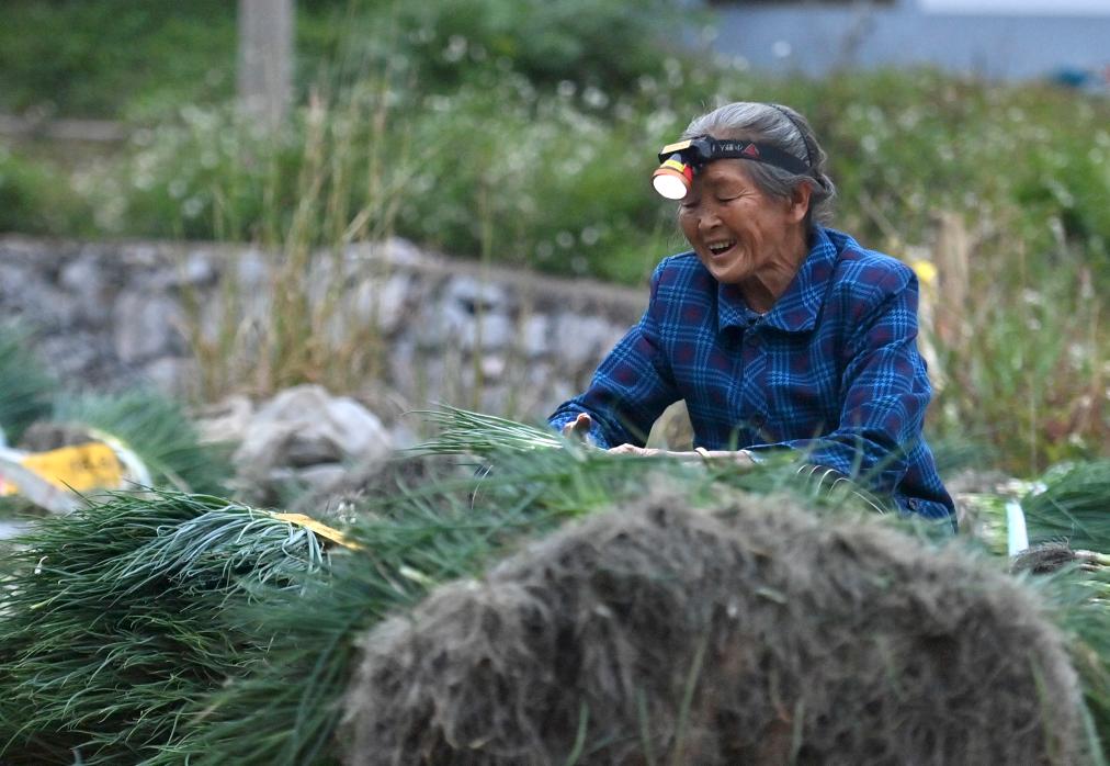 ???? ????? ?????? ?? ????? ??????? ???????