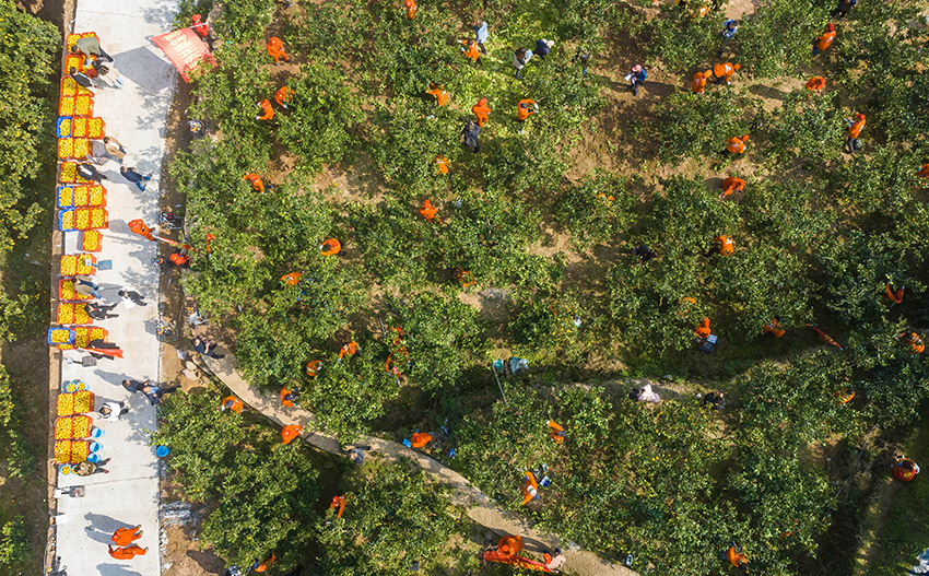 ????? ???? ?????? ????? ?? ?????? ?????? ??? ?????