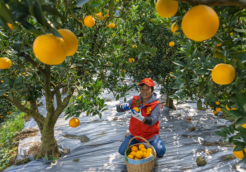 ????? ???? ?????? ????? ?? ?????? ?????? ??? ?????