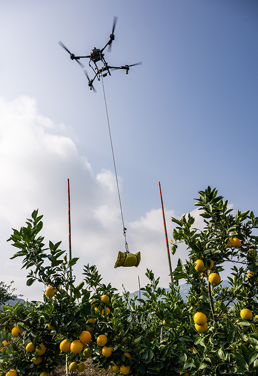 ????? ???? ?????? ????? ?? ?????? ?????? ??? ?????