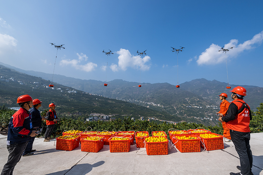 ????? ???? ?????? ????? ?? ?????? ?????? ??? ?????