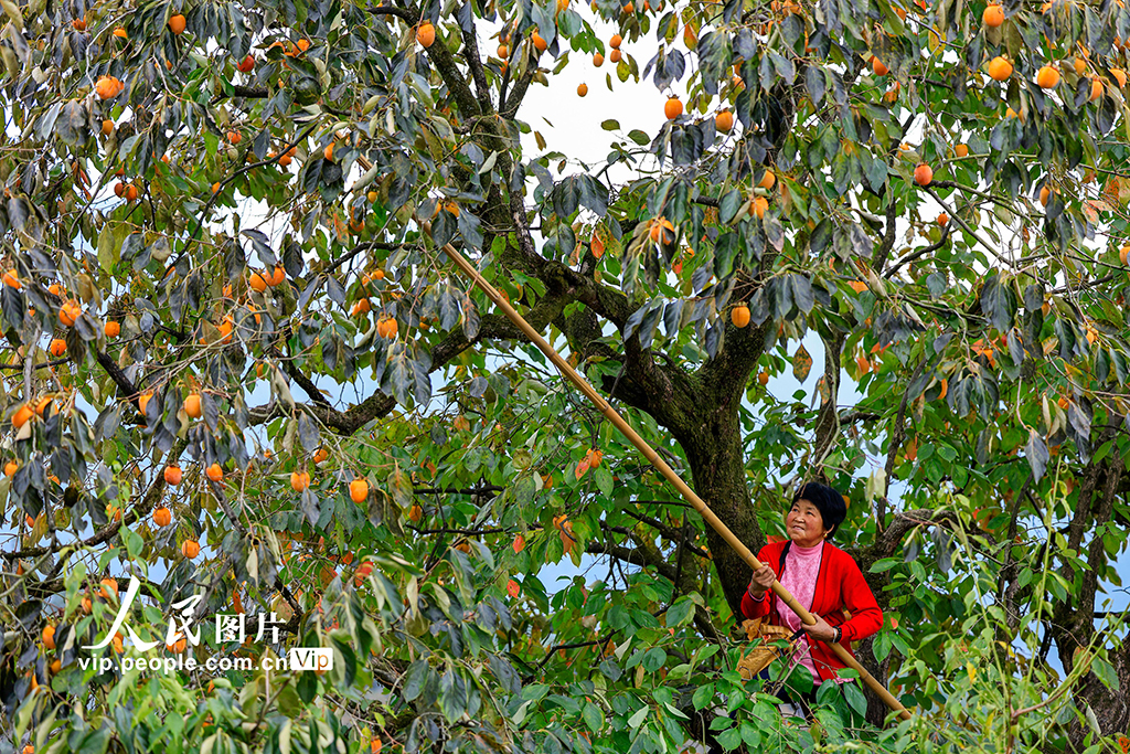 ???? ?????? ?? ?????? ?? ???? ???? ??????