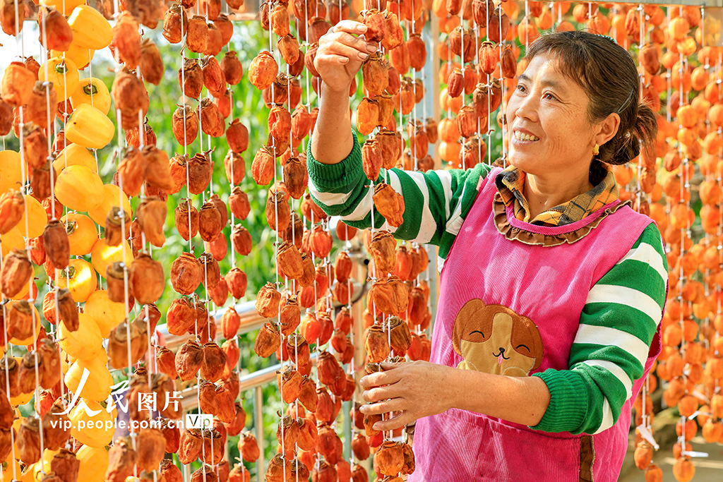 ???? ?????? ?? ?????? ?? ???? ???? ??????