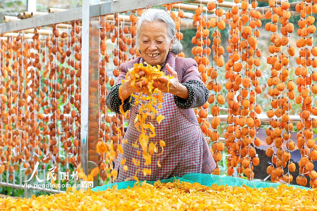 ???? ?????? ?? ?????? ?? ???? ???? ??????