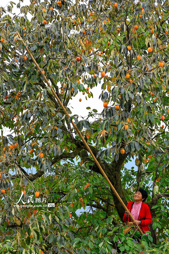 ???? ?????? ?? ?????? ?? ???? ???? ??????