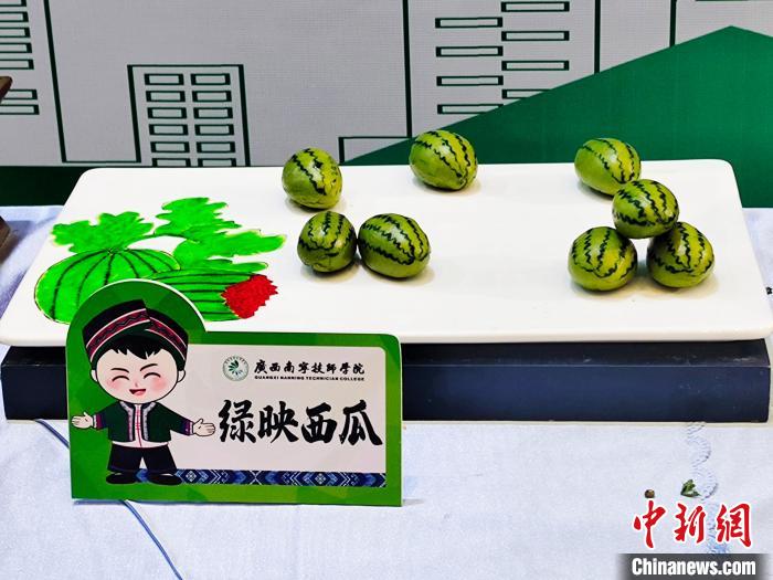 ???? ?????? ????? ???????