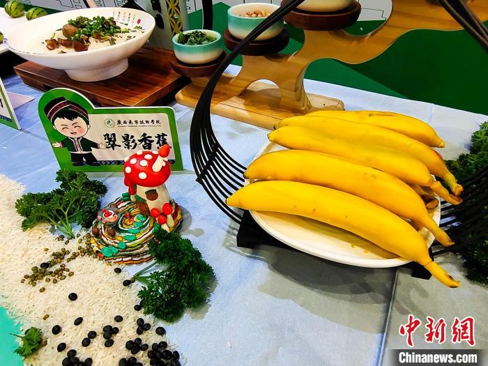 ???? ?????? ????? ???????