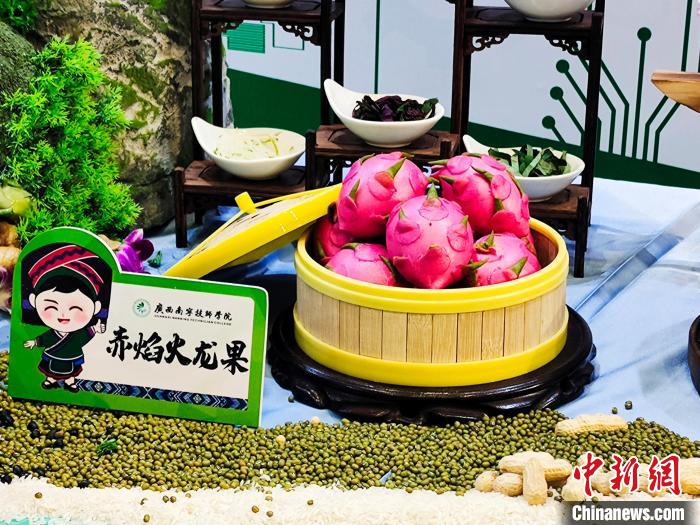 ???? ?????? ????? ???????