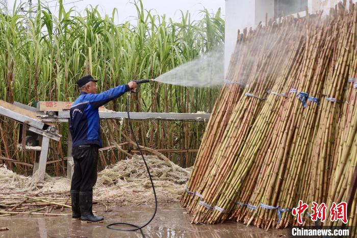 ?????? ??? ????? ?? ???? ?????? ??? ???????