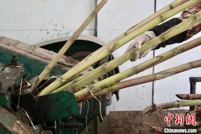 ?????? ??? ????? ?? ???? ?????? ??? ???????