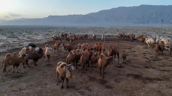 ?????? ?? ???????? ???????? ????? ??????? ???????? ????????? ???? ???? ???? ?????