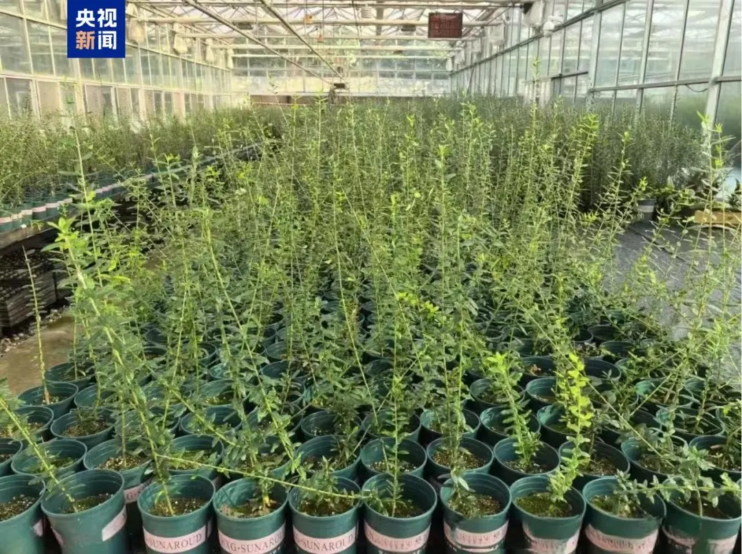 ???? ??????? ??????? ?????? ?? ???? ?????? ??????? ???? ??? ?????