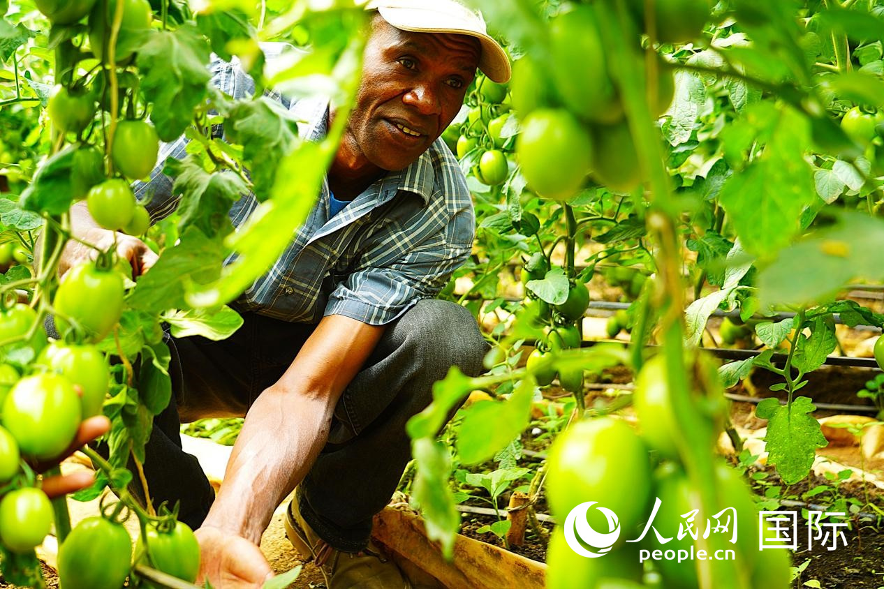 ????? : ??????????? ???????? ??????? ???? ????? ??? ?????? ??????? ?? ?????