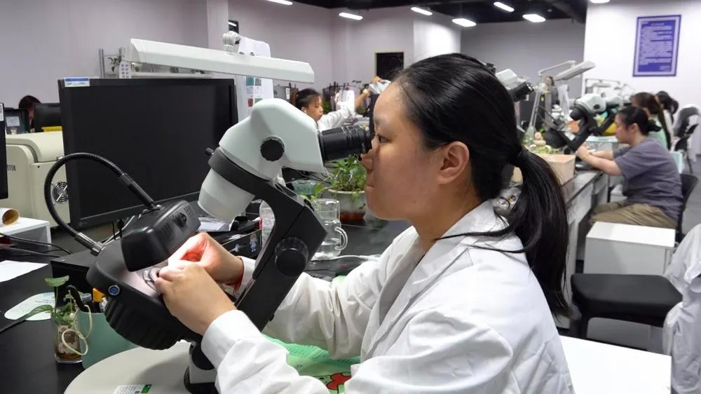 ????? : ?? ????????? ??? 70 ??????? ?? ????? ?????? ?????? ... ???? ????? ????? ????? ???? 50 ????? ???? ?? ?????? ?????? ???? ??? 2023