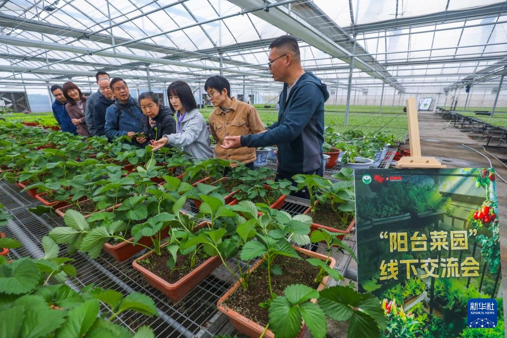 ????? ??????? ?? ???????? ????? ???????? ?????? ??????