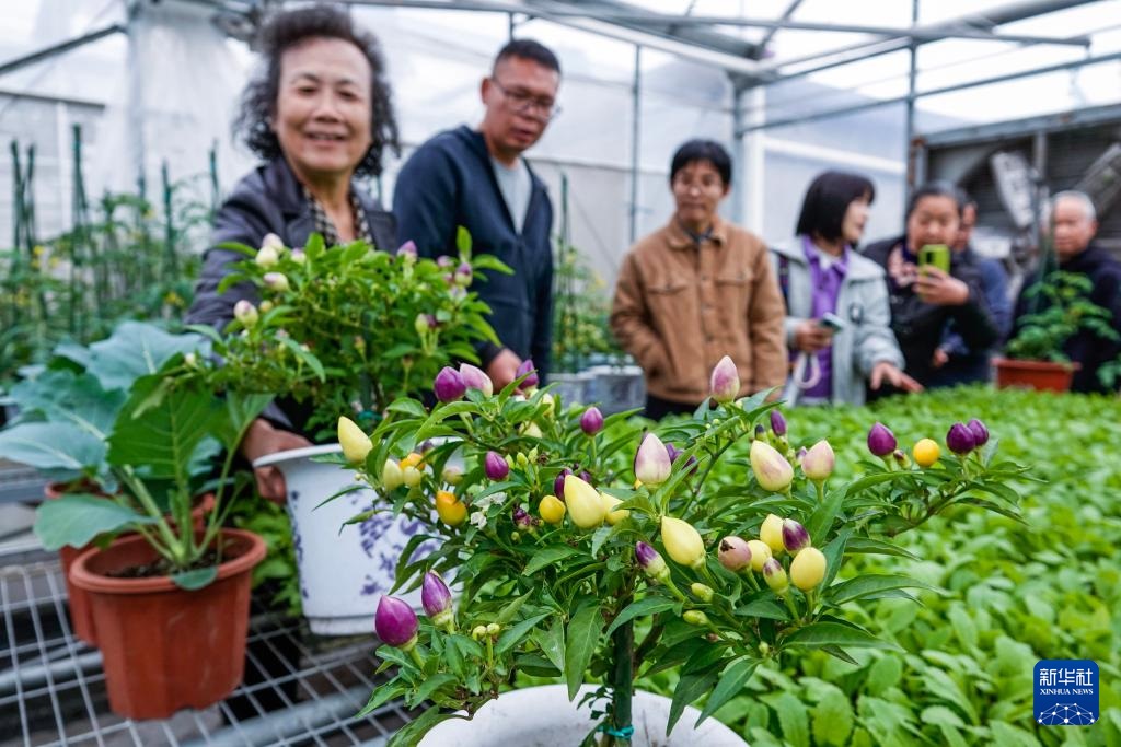 ????? ??????? ?? ???????? ????? ???????? ?????? ??????