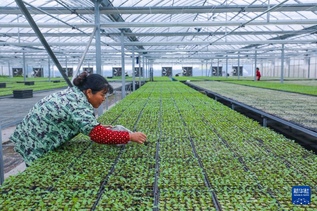 ????? ??????? ?? ???????? ????? ???????? ?????? ??????