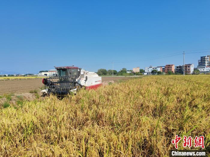 ??? ????? ??? ?????? ?? ??????? ???? ??? ?? ????? ?????? ???? ??????