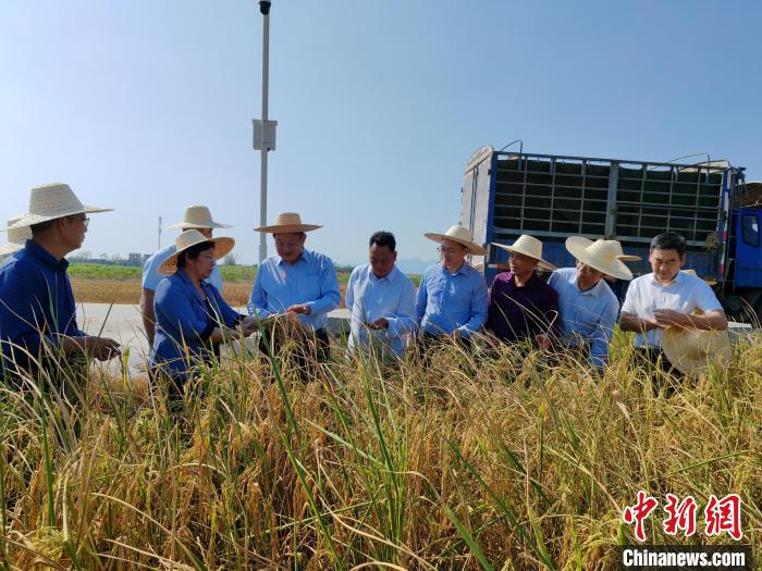 ????? ?????? ??? ?? ??? ????????? ?? ?????????? ??????? ??????? ?????? ????? ???? ????? ????????? ?????? ??????? ?? ??? ??????? ??? ????? ???????. ???? / ???? ??????? ?????? ????????