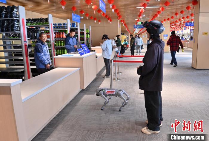 ?????????? ?????: ?????? ?????? ???? ?? ???? ???? ??????? ??????