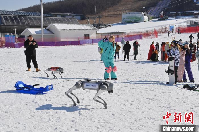 ?????????? ?????: ?????? ?????? ???? ?? ???? ???? ??????? ??????