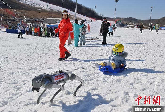 ?????????? ?????: ?????? ?????? ???? ?? ???? ???? ??????? ??????