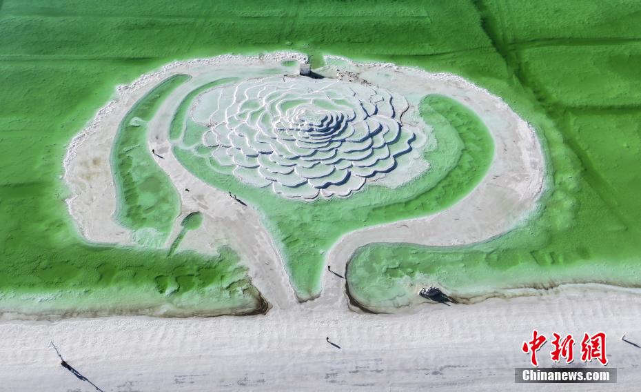 ????? ??????????????? ????? ?????? ????????