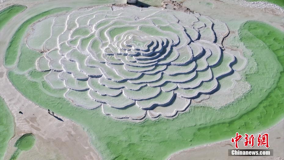 ????? ??????????????? ????? ?????? ????????