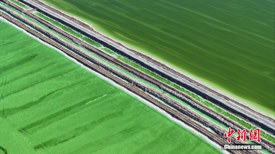 ????? ??????????????? ????? ?????? ????????